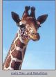 Veranstaltungsbild Fahrt zum WILDLANDS Adventure Zoo Emmen